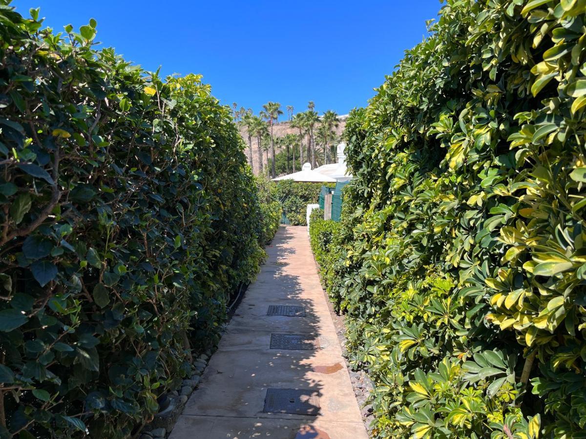 Ahtha Green Bungalow Maspalomas San Bartolomé Eksteriør bilde